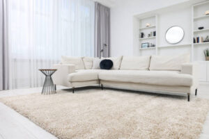 Cleaning sofa and carpet, hilangkan bau sofa, karpet